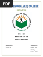 PDF Document