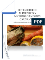 Deterioro de Alimentos y Microorganismos Causantes