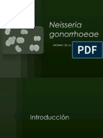 Neisseria Gonorrhoeae