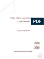 pueblos_indigenas.pdf