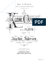 [Free-scores.com]_andersen-joachim-kleine-capricen-8572.pdf