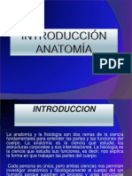 1... Anatomia