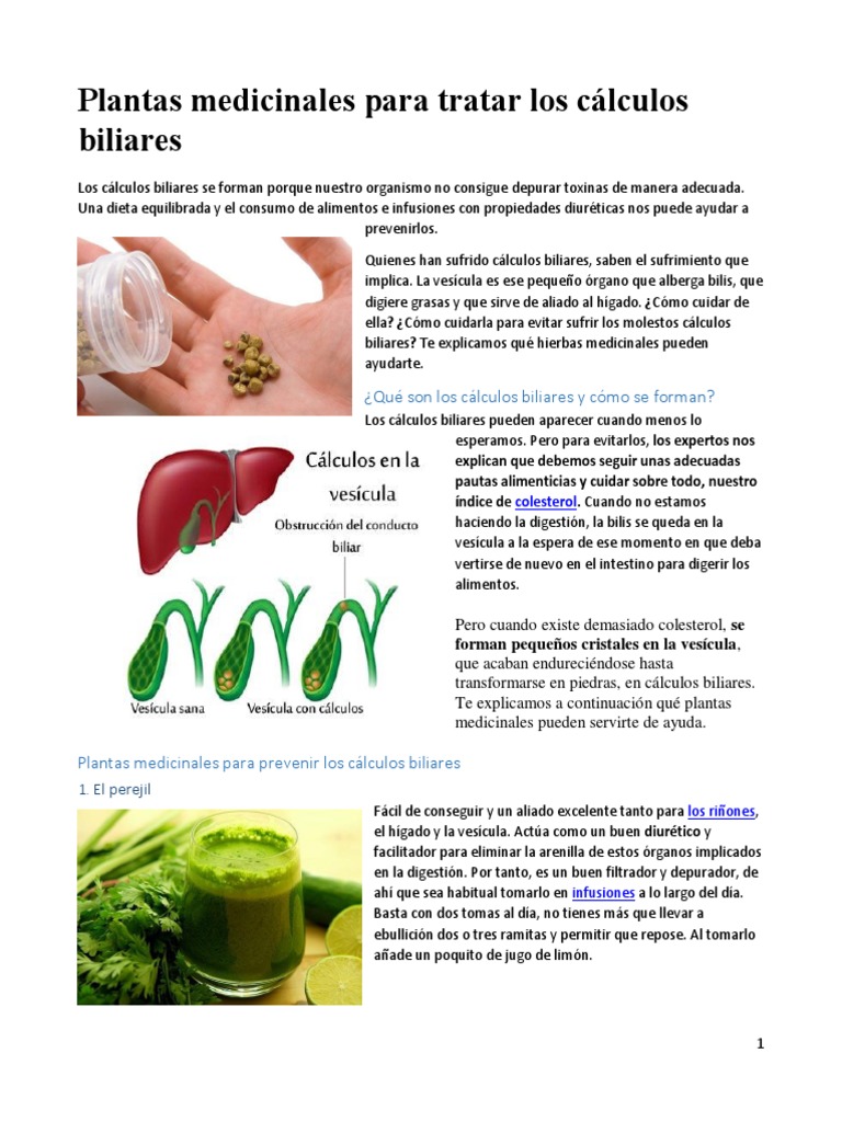 Plantas Medicinales Te Vesicula Biliar