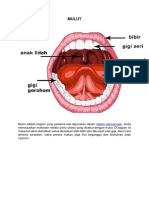 Sistem Pencernaan