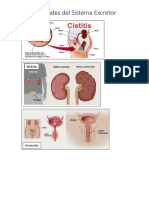 Enfermedades Del Sistema Excretor