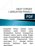 Heat Stroke