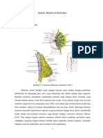 Materi CA Mammae