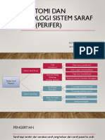 Anatomi Dan Fisiologi Sistem Saraf TEPI