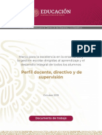 perfiles NEM.pdf