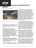 Plot Thickens Hypothetical x17 Particle