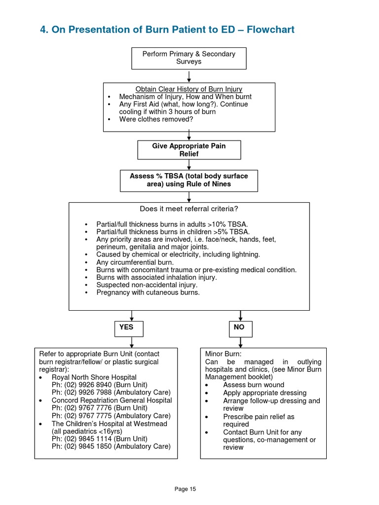 2014 Burn Patient Management - Clinical Practice Guidelines | PDF ...