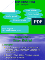 PP Fiswan EKSKRESI