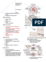 Ekokardiografi Untuk Diagnosa Struktur Dan Fungsi Jantung