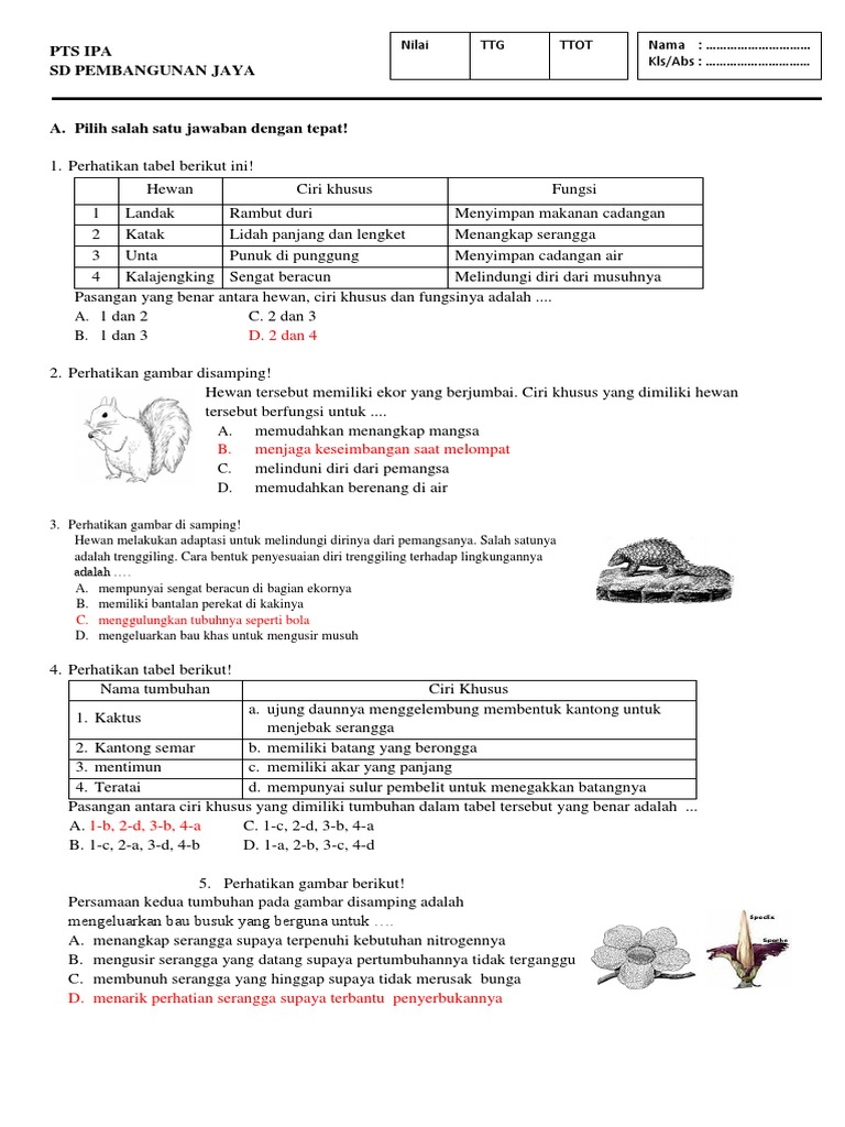 Soal Penilaian Tengah Semester Ipa Pdf