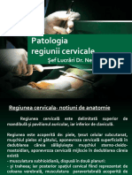 Patologia Regiunii Cervicale