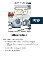 Inflammation D