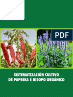 69 Cultivo de Paprika e Hisopo Organico