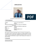 Curriculum Vitae Llanos Peralta Jorge