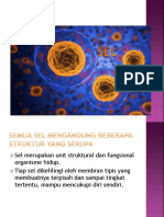 ppt sel