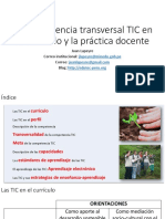 1502660485-p.1.2.2-la-competencia-transversal-tic-en-el-currculo-y-la-prctica-docente.pdf