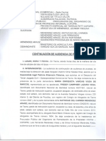 AUDIENCIADE PRUEBAS.pdf