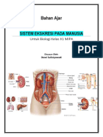 Sistem Ekskresi