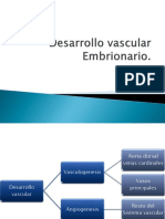 Desarrollo Vascular Embrionario