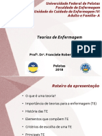 Teorias de Enfermagem: Teoria das Necessidades Humanas Básicas