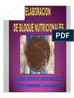 Elaboracion de Bloques Nutricionales PDF