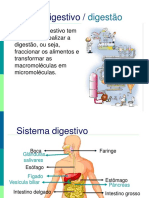 Sistema Digestivo 9cap1112