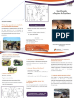 Identificação e Registo de Equideos_RP.pdf