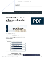 Características de Las MiPymes en Ecuador - DSG