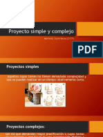 Proyecto Simple y Complejo