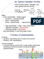 2B Carbs and Lipids