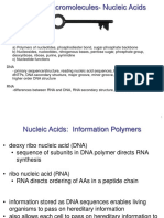 2B Nucleic Acid