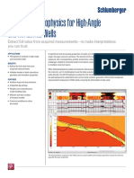 Techlog 3d Petrophysics PDF