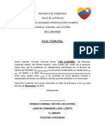 Formato de Carta Aval