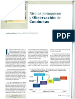 Niveles Jerárquicos y Observación de Conductas Psicosociologia