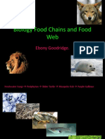 Biology Food Chains and Food Web