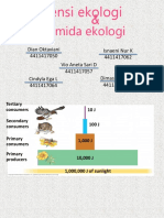 Efisiensi Ekologi Dan Piramida Ekologi Kelompok 6