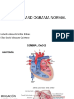 Electrocardiograma Normal