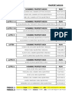 28.11.2019 - Parche Plano - Propietarios Sucesión Quinteros Parada