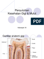 Penyuluhan Kesehatan Gigi Kelompok 18