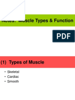 ANAT - Unit 4 - Muscle Types and Function Notes