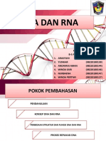 3 Genetika Tanaman