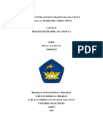Laporan Fix Ipan PDF
