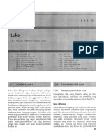 Bab 05. Luka PDF