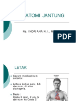 ANATOMI JTG (Indri) PDF
