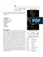 Utricularia_gibba.pdf