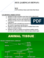 Animal Tissue